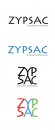 Zypsac_concept_3